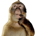 monkeythink_floppaa Discord emoji