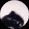 pedroraccoon_floppaa Discord emoji