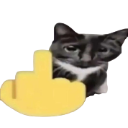 middle_finger custom emote | Shadow Arms Co.