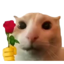 flower Discord Emoji - Shadow Arms Co.