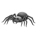 spider