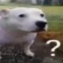 huh huh
