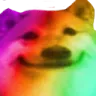 8813dogedrugs