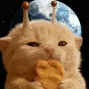 catnuggies