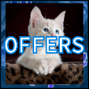 OFFERS Discord sticker | Bridger Western Roblox | Guides • Updates • Trading • LFG