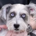 OOR_Sushi_wideeyes