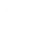 brain1