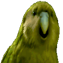 RareParrot_floppaa Discord emoji