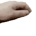 PETPET_floppaa Discord emoji