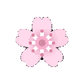 cherryblossomspin_floppaa Discord emoji