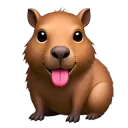 :capybara8: