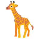 :giraffe: