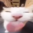 bleh