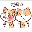 doge_slap