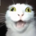 Screenshot_20251122_112400_Pinte Discord Emoji - ✧･ﾟ: ✧･ﾟ: 𝙎𝙩𝙧𝙖𝙮𝙨 :･ﾟ✧:･ﾟ✧