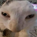 Screenshot_20251110_093501_Pinte custom emote | ✧･ﾟ: ✧･ﾟ: 𝙎𝙩𝙧𝙖𝙮𝙨 :･ﾟ✧:･ﾟ✧