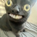 SmilingCat custom emote | The 1woners