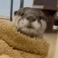 otterKiss