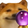 doge_crystalball_floppaa Discord emoji