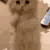 :LU_Pls: