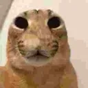 ouh