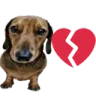 BrokenheartDog