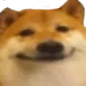 dogsmile