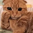 hey2
