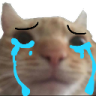hemi_cat_cry Discord Emoji - Slime RNG Trading & Codes | Guide & Updates