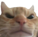 hemi_cat_huh custom emote | Slime RNG Trading & Codes | Guide & Updates