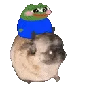 700303pepepug