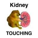 tg_kidneytouching tg_kidneytouching