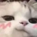 confidentblush