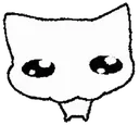 DumbCatStare DumbCatStare
