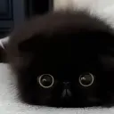 Iseeyou