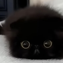 :Iseeyou: