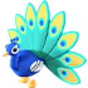 peacock