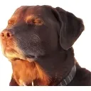 emoji_13