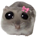 justagirl Discord sticker - 𝗖𝘂𝗱𝗱𝗹𝘆 𝗖𝗿𝗶𝘁𝘁𝗲𝗿𝘀