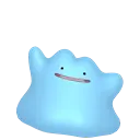 sp_ditto