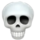 realistic_skull