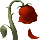 wiltedrose