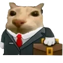 business_cat business_cat