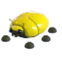 giant_gold_scarab