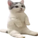 Cat1sittingverycomfortable