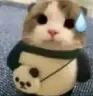 Catoopsie