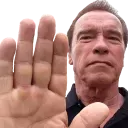 xarnoldHalt