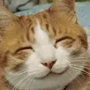 Cat_YaySmile