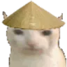 chinese_cat