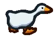 walkinduck
